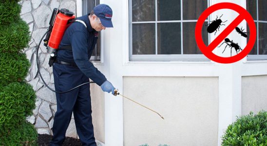 Güney Bit İlaçlama böcek ilaçlama ve haşere kontrolü — ilaclama-tr.com